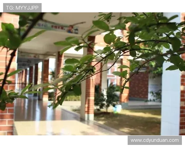 林劳伦转战双打再创佳绩开启全新征途激发更灿烂未来希望无限动力