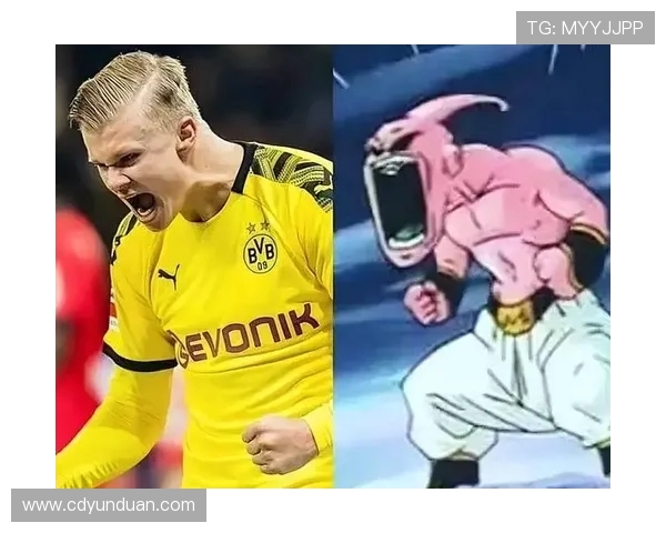 哈兰德为挪威进50球有望打破阿里代伊百球最快纪录